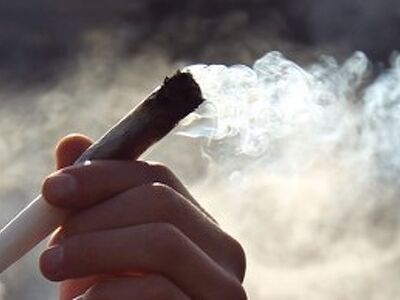 Drug destruction proved despite no pre-tenancy test